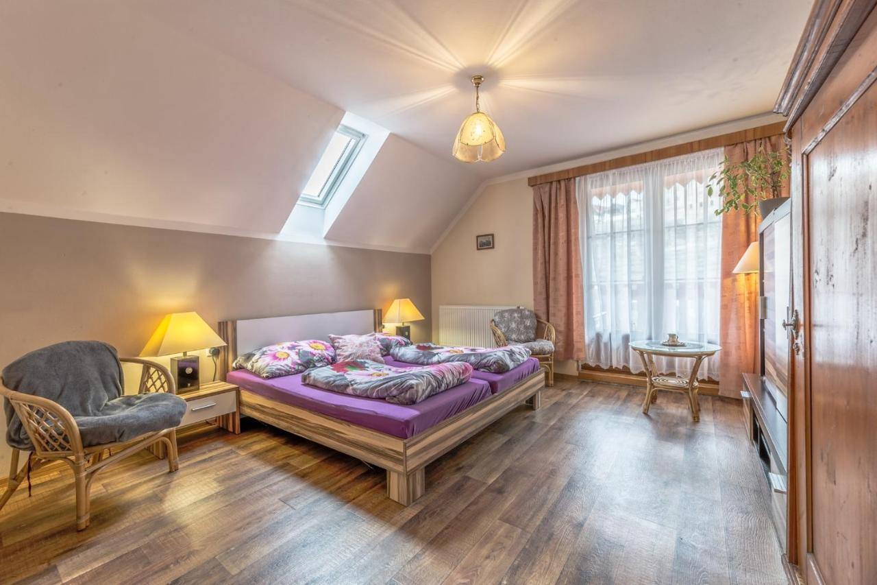 Penzion Na Hradcanech Nove Mesto nad Metuji Ngoại thất bức ảnh