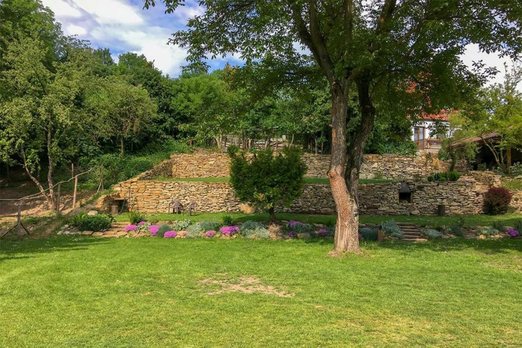 Penzion Na Hradcanech Nove Mesto nad Metuji Ngoại thất bức ảnh